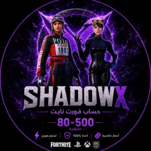 Fortnite Accounts and Characters for Sale in Dubai