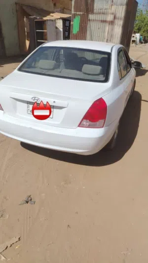 سحلية 2005