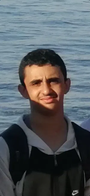 سيف العش 