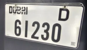 D 61230 Dubai number