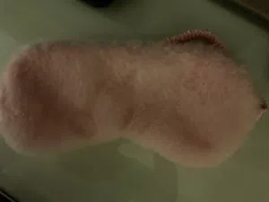 Sleeping mask