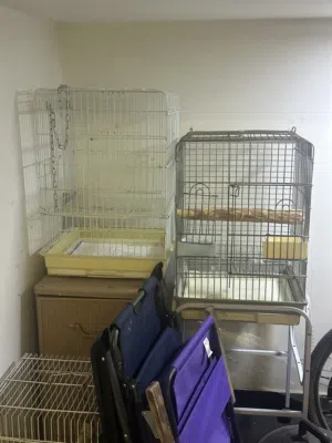 للبيع قفص كاسيكوا