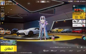 Pubg Accounts and Characters for Sale in Abu Dhabi
