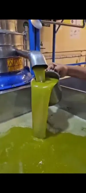 زيت زيتون(بعل)