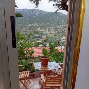 عزالدين شواشره 