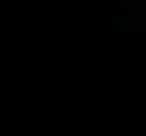 تامر 