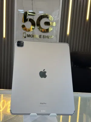iPad M2 (256G)