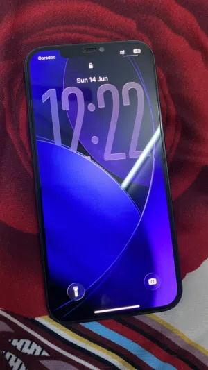 iPhone 12pro max 256GB