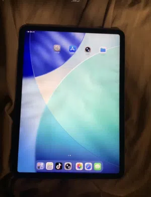 Apple iPad Pro 13 128 GB in Tripoli