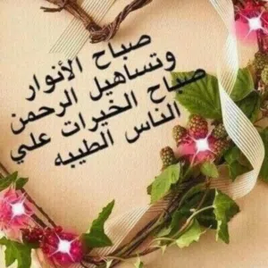 ابو يوسف 