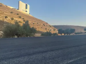 Residential . 1000 m2 . Landlord2