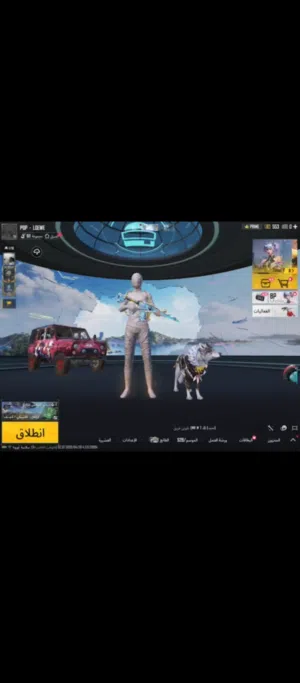 حساب ببجي للبيع
