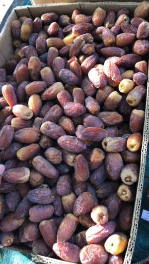 تمور جميع النواع فاخر