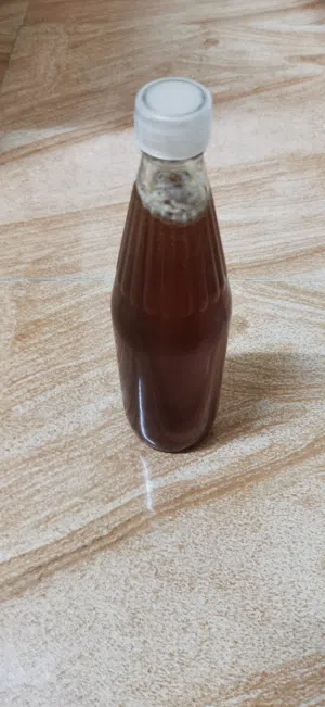 عسل برم تغذيه للبيع