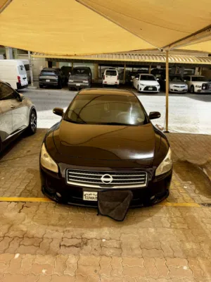 Used Nissan Maxima in Hawally