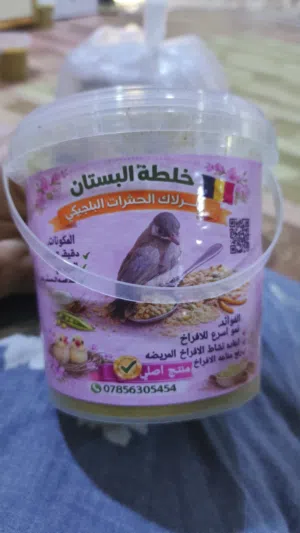 طعام طيور