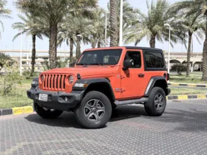 صبغ وكالة ماشي 252 الف