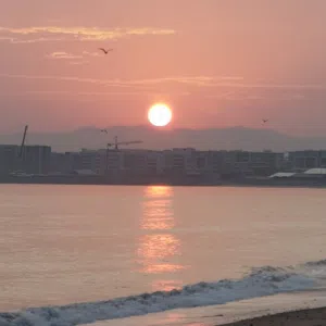 alamri 