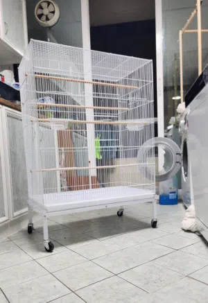 New big bird cage