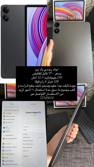 Others ‏Not Defined ‏256 GB ‏12.5 inch