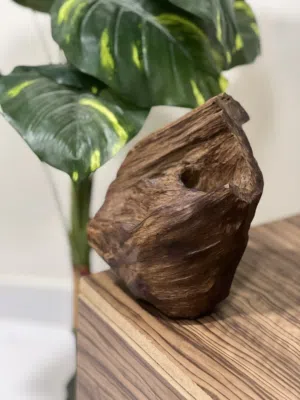 نوادر العود