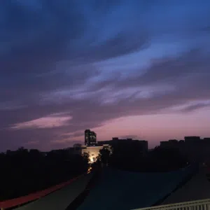 malek 