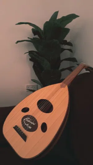 عود بحريني خشب ماهوقاني نضيف مع شنطة و ريشه