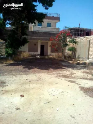ارض مسجلة للبيع في الكينج مريوط وممكن تتجزاء 1500 متر وبها عقد ازرق تصلح لجميع الاغراض الاسكندرية