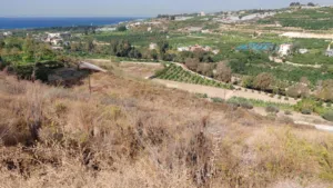 Commercial . 2400 m2 . Agent0