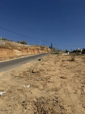 Farm Land for Sale in Salt Al Subeihi