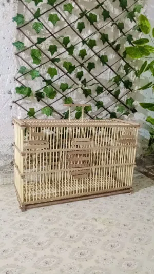 اقفاص بلابل للبيع