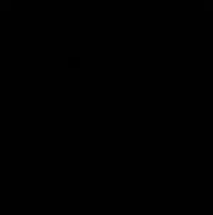 حسن طلال 