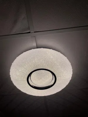 Ceiling lamp