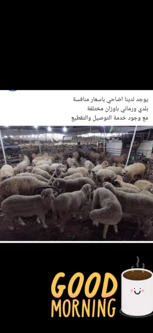 لحام متنقل