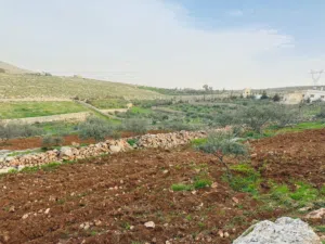 Farm Land for Sale in Mafraq Bala'ama