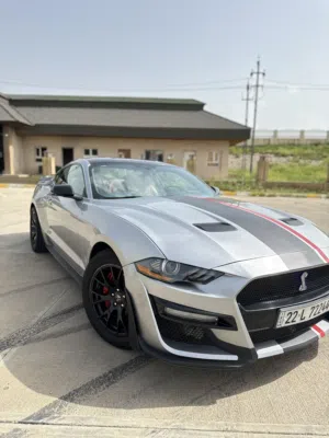 Mustang 2020 - 55 years edition- black top