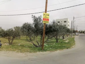 ارض للبيع الجويدة حي باير