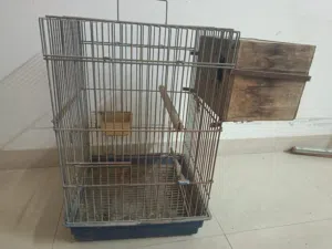 بيت طيور وسط