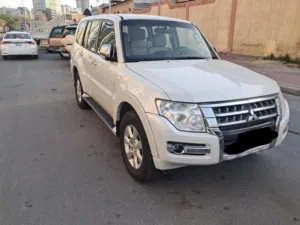 2019باجيرو