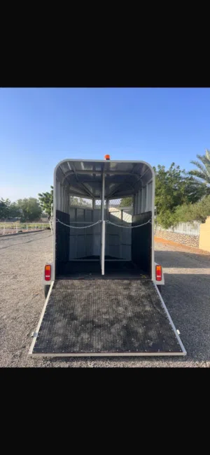 عربة خيول جديده للبيع