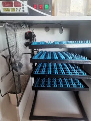 بسعر حررررررررق فقاسه اوسكار