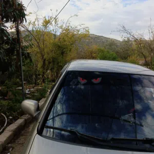 نيسان صني 2011