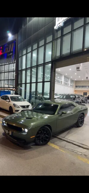 جالنجر 2022 sxt قطعتين صبغ باب و جاملغ