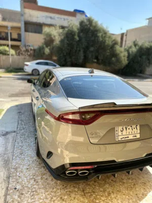 كيا ستنكر 2019  فئة GT2 فول مواصفات