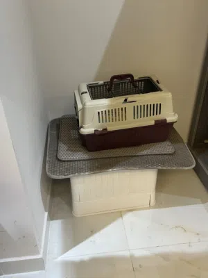 بيوت وطعام واغراض للقطط