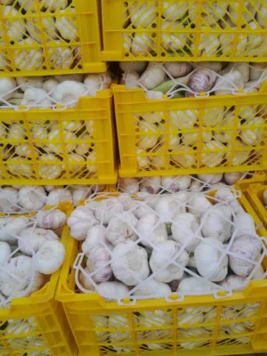 خضار وفواكه2