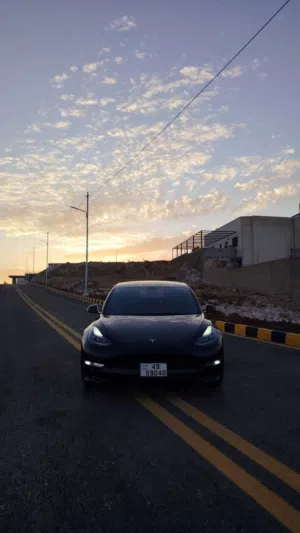 Used Tesla Model 3 in Amman
