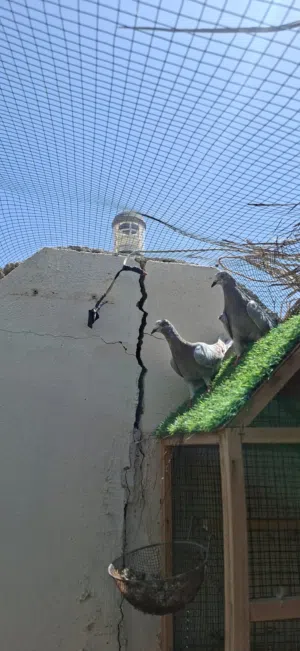 حمام رسال عمنيت