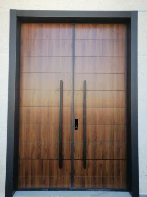 New Luxury entrance door