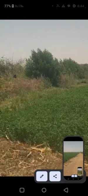Farm Land for Sale in Khartoum Elfaki Hashim
